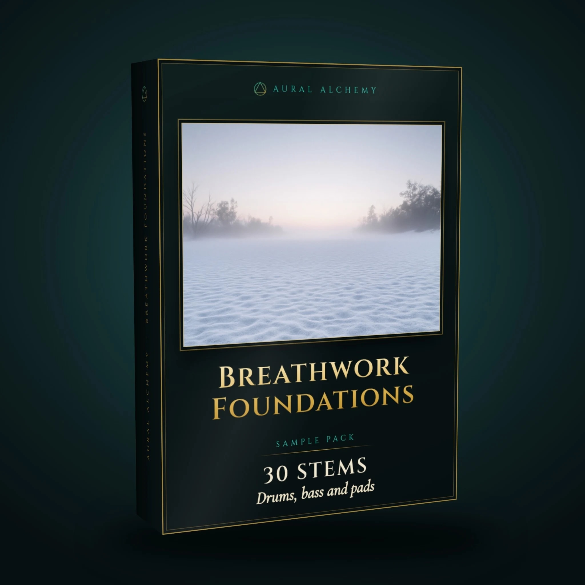 Breathwork Foundations